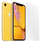 Picture of Tempered Glass Protector For Apple iPhone 13 Pro /Max /Mini  /12 Pro Max/12 Pro/12/12 Mini iPhone 11/X/XR/XS/8/7/Plus