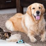Picture of Deshedding Tool & Pet Grooming Brush for Small, Medium & Large Dogs, Cats & Horses With Short to Long Hair