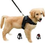 Picture of Dog Harness Adjustable Mesh Pet Chest Strap No Pull Puppy Vest Harness Breathable Soft Padded for Large Medium & Small Dogs (Black & Red)