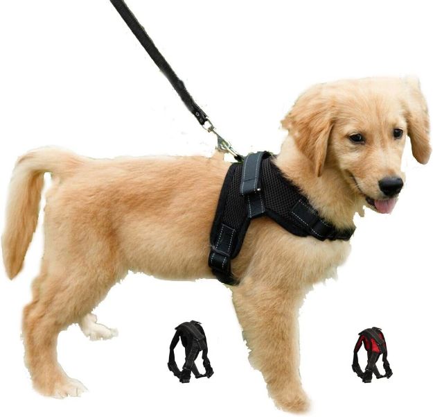 Picture of Dog Harness Adjustable Mesh Pet Chest Strap No Pull Puppy Vest Harness Breathable Soft Padded for Large Medium & Small Dogs (Black & Red)