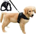 Picture of Dog Harness Adjustable Mesh Pet Chest Strap No Pull Puppy Vest Harness Breathable Soft Padded for Large Medium & Small Dogs (Black & Red)