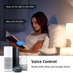 voice control smart bulb