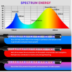 Picture of Grow Lights for Indoor Plants,  Newest 80 LEDs Full Spectrum Led Plant Grow Light, 10 Dimming Level & 4 Heads Grow Lamp