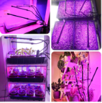 Picture of Grow Lights for Indoor Plants,  Newest 80 LEDs Full Spectrum Led Plant Grow Light, 10 Dimming Level & 4 Heads Grow Lamp