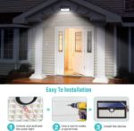 solar lights in garden	