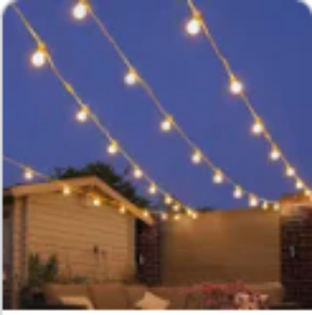 Picture for category Festoon Lights