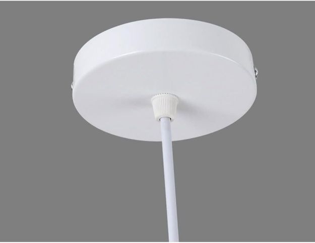 Picture of 10cm White Ceiling Tray with Metal Base & Accessories – Reliable and Sturdy Lighting Fixture Mount