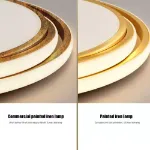 Picture of 22W Ring LED Ceiling Light - Adjustable Hanging Lamp (50cm), Warm White 3000K, Energy Saving Chandelier for Bedroom, Kitchen, Hallway - Easy Install Aluminum Fixture