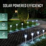Picture of 10 Pack Stainless Steel Solar Garden Pathway Lights
