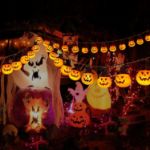 Picture of Abkshine Solar Halloween Pumpkin String Lights – 20 LED, 3m