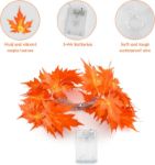 Picture of Autumn Maple Leaves String Lights – 3M 20 LED Garland