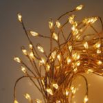 Picture of 240 LED Copper Wire Cluster Fairy String Lights