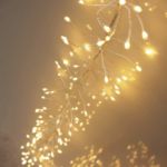 Picture of 240 LED Copper Wire Cluster Fairy String Lights
