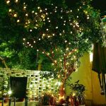 Picture of Solar Crystal Fairy String Lights – 30 LED Warm White