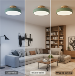 Picture of 12W  Led Ceiling Light,3 Color Temperature 3000/4000/6000K,Modern Wood Flush Mount Ceiling Light Fitting for Living Room Bedroom Kitchen Hallway